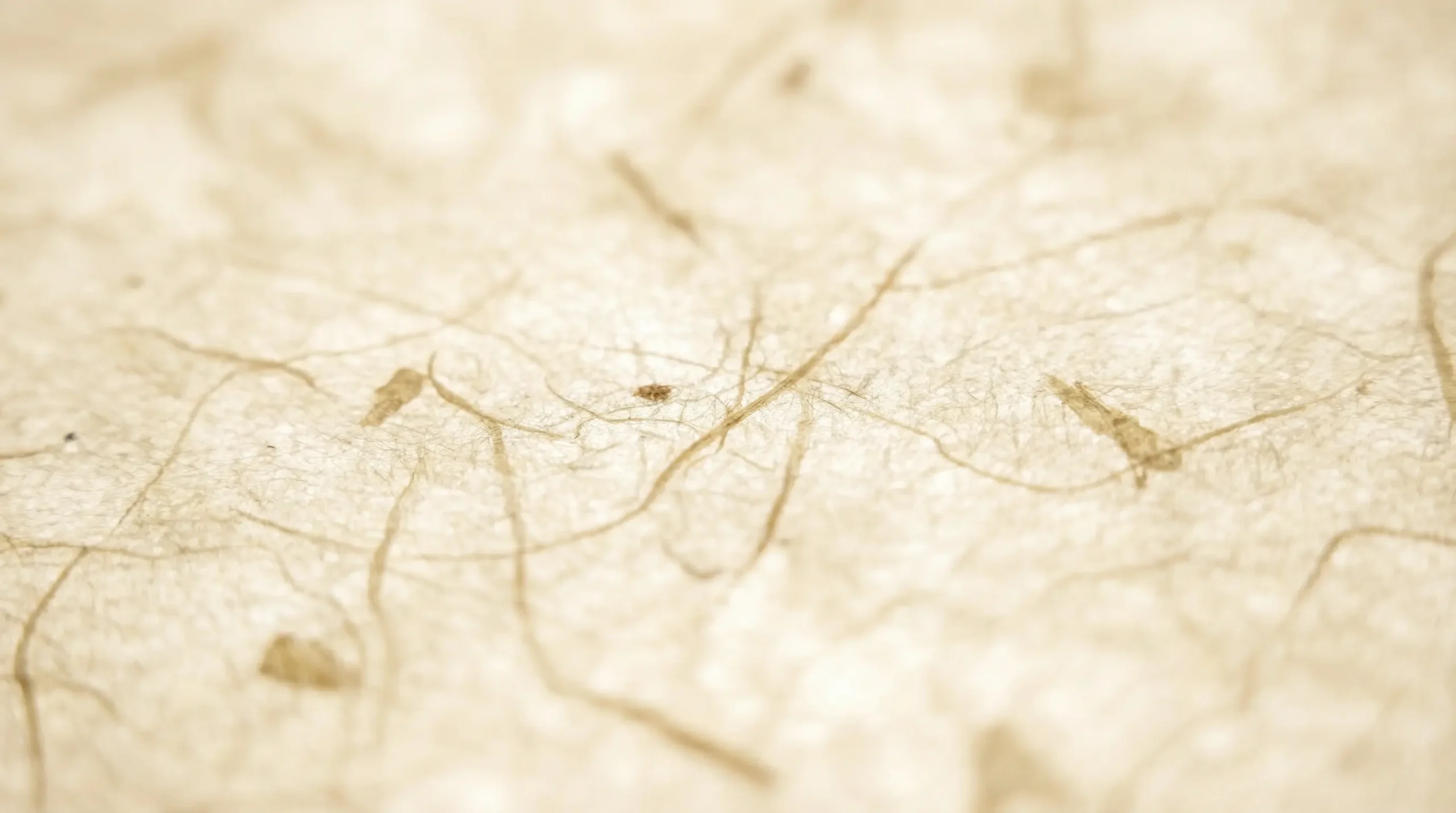 Gros plan sur la texture fibreuse du papier washi japonais révélant les fibres de kozo